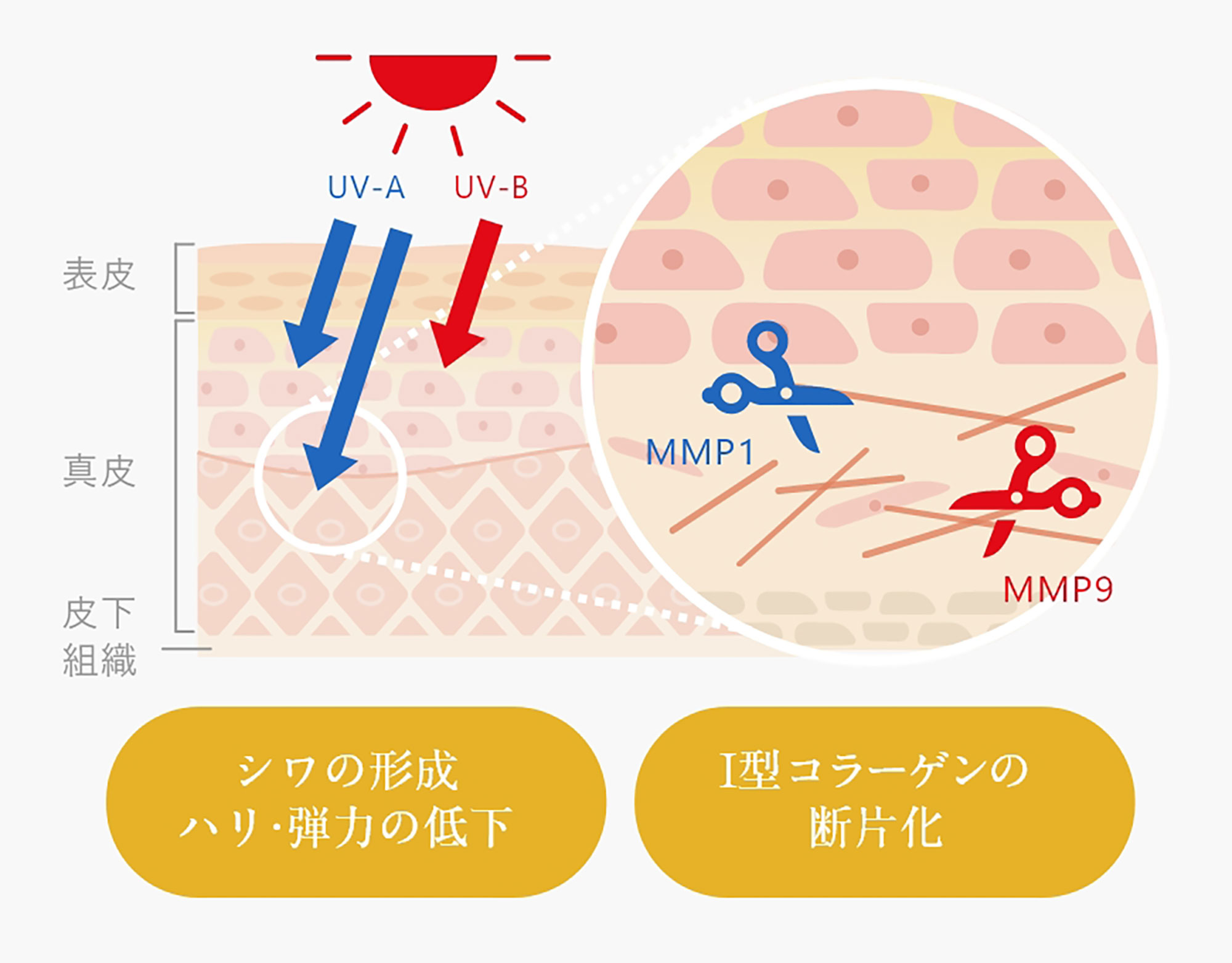 Be Moisture gel 効果に関する検証結果