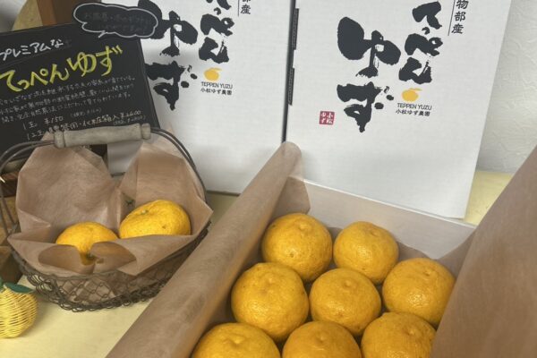 幻の実生ゆず『てっぺんゆず』数量限定でオンラインストアにて販売開始
